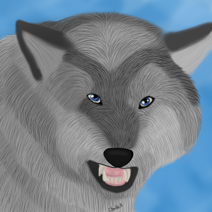 Wolf Realism by Charlie-Breen