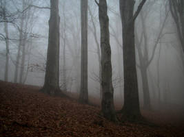 Apr 3 by LukeMajewski