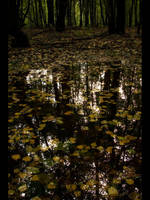 Dead water by LukeMajewski