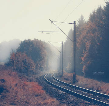 Way through the fog by valiunic