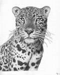 Moonlit Jaguar - still a WIP by mikebontoft