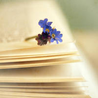 The story of forget... by RickHaigh