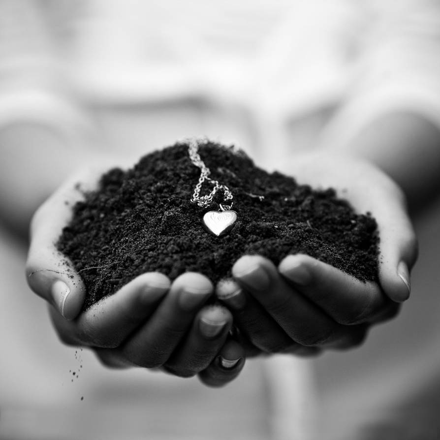 the roots of our love... by escaped-emotions