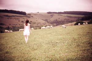 Foggy Days - 18 of 365 by escaped-emotions