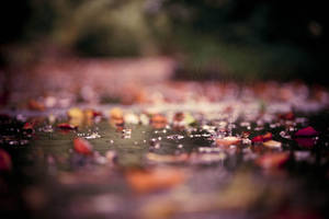 I don't mind... Day 80 by escaped-emotions