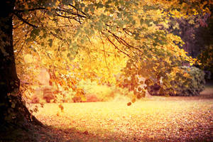 When you're gone... Day 90 by escaped-emotions