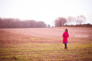 Picturesque - Day 153 by escaped-emotions