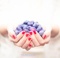 Juicy Blueberries - Day 199 by escaped-emotions