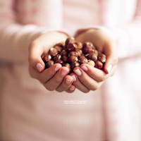 Nuts for Hazelnuts - Day 224 by escaped-emotions