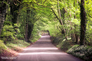 The Road to... Day 266 by escaped-emotions