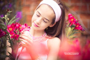 Summers Colour - Day 318 by escaped-emotions