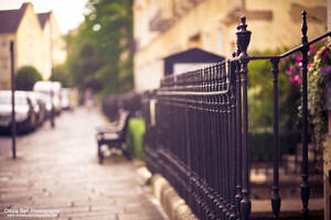 Beauty in Simplicity - Day 338 by escaped-emotions