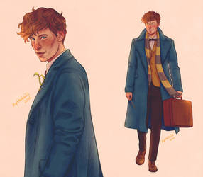 Newt Scamander by upthehillart