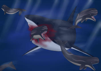 Megalodon: Time to Hunt by nature1029