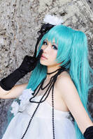 Camellia japomica by YAsuukun