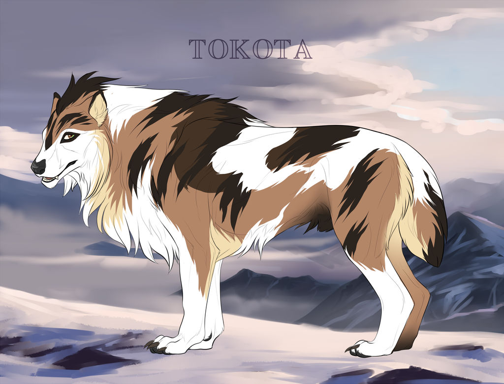 Dakota 434 by TotemSpirit Dakota 434 by TotemSpirit