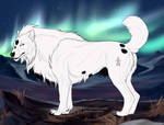Johnny Snow 1906 by TotemSpirit