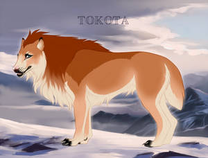 Goupil 7653 by TotemSpirit Goupil 7653 by TotemSpirit