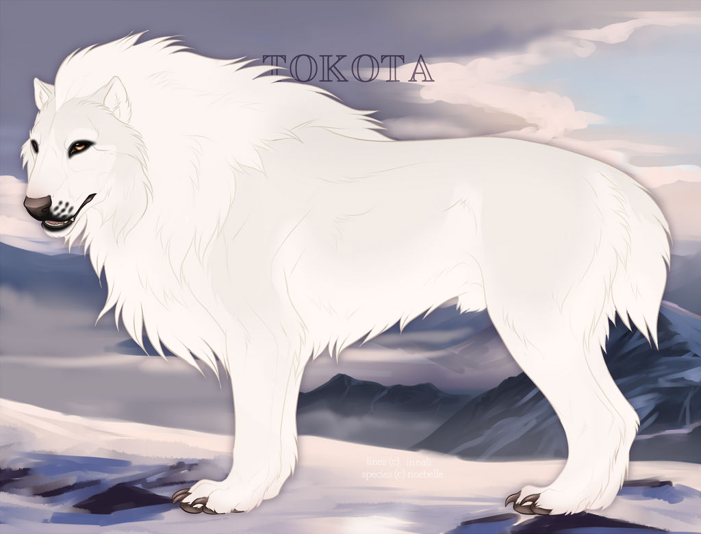 Al Paca Drawing Alpaca by akllozz on DeviantArt