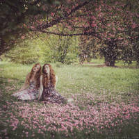 Cherry tree by anyaanti