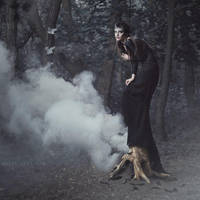 The Crow by anyaanti