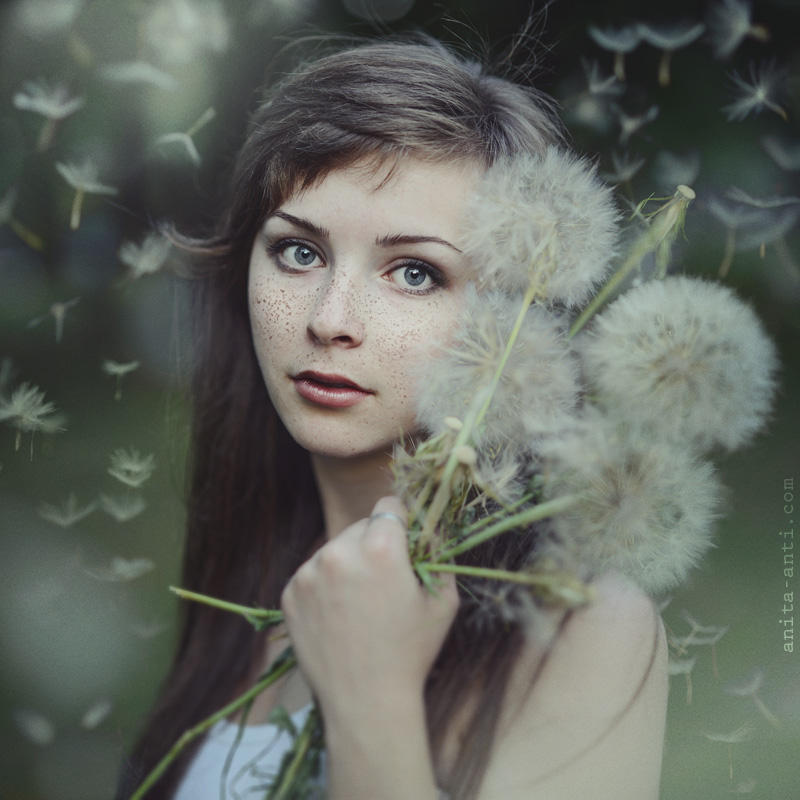 Dandelion by anyaanti Dandelion by anyaanti