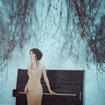 Winter Symphony by anyaanti