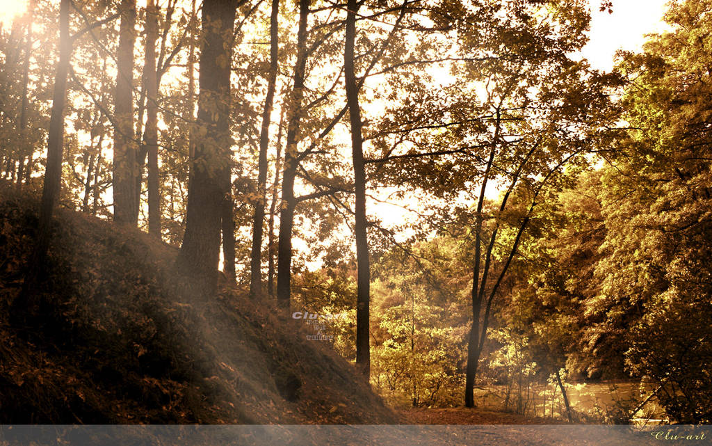Edge of Autumn Wallpaper by Clu-art
