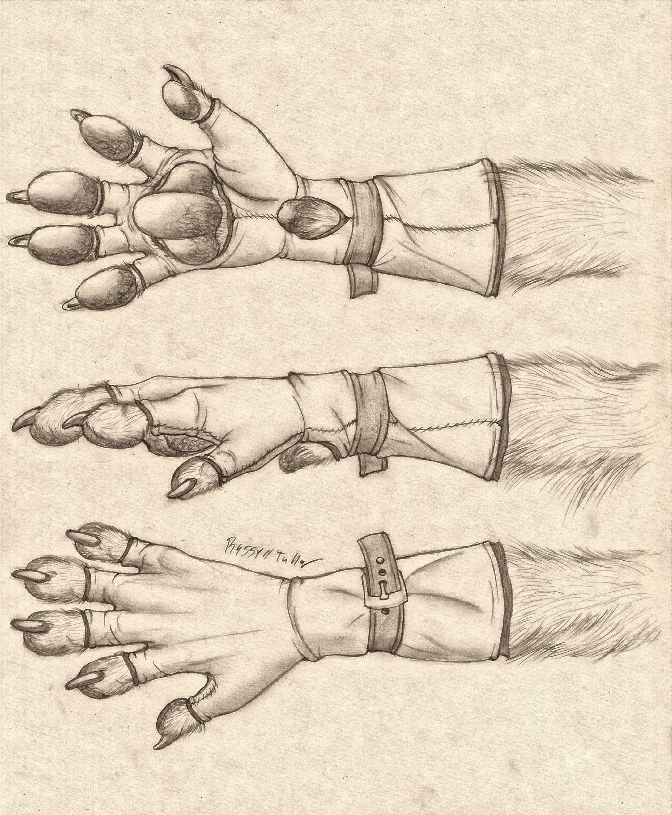 Anthro Paw Glove Design by RussellTuller