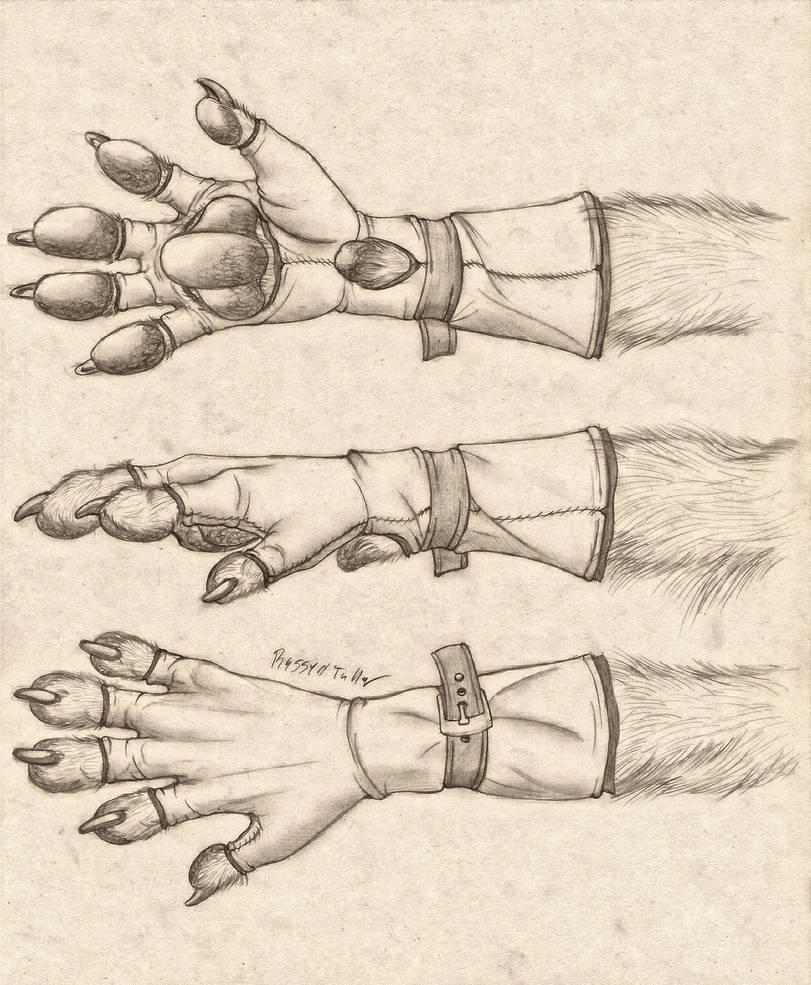 Anthro Paw Glove Design by RussellTuller