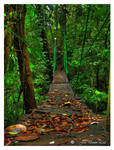 musun bridge by Valmont-jose