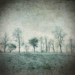 Places You Know by RAlexanderTrejo