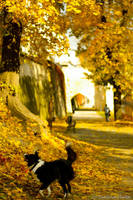 Autumn in Klodzko by ines2508