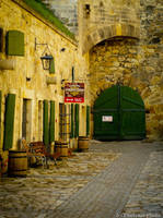 The entry by ines2508