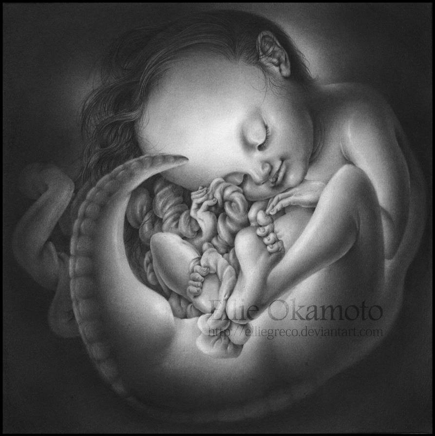 Embryological Fetus by EllieOkamoto