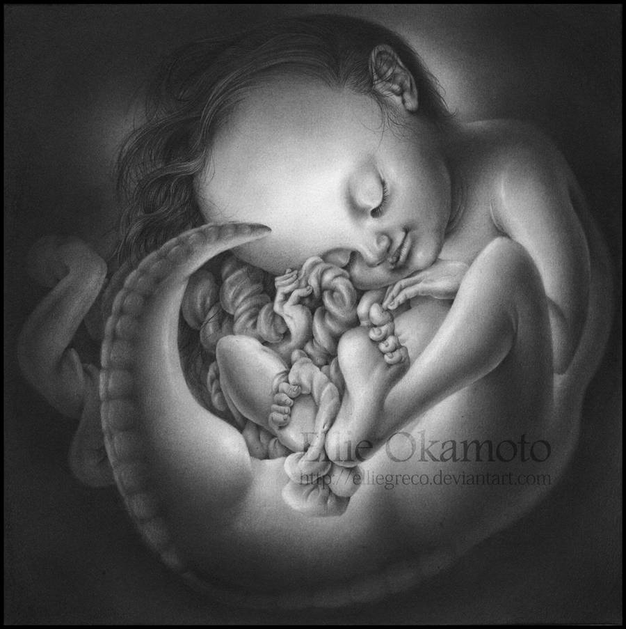 Embryological Fetus by EllieOkamoto