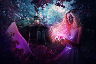 Gift of life by artorifreedom