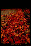 Autumn by daschristkind