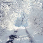 White Way. by andokadesbois