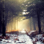 Mystical. by andokadesbois
