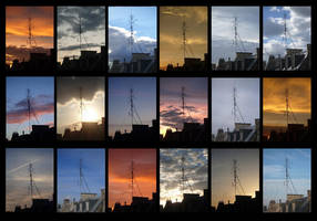 Time flies by greenandyellow