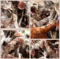 Scars by greenandyellow