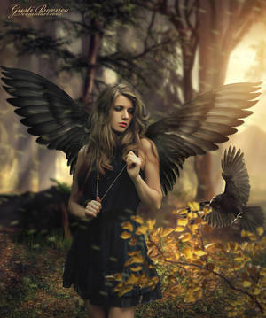 Black Wing by apanyadong Black Wing by apanyadong