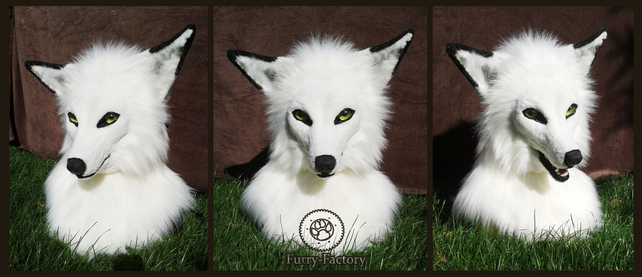 White fox head by Kay-Ra