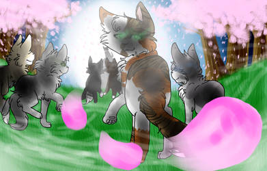 Walking in starclan as heroes by RainbowBorealis