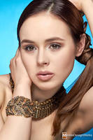 20110331_devonny128 by MickleDesignWerks