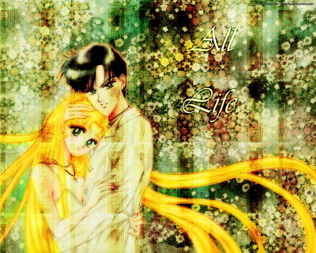 UsagiMamoruWallpaper by nover