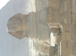 Sphinx by omg-stock