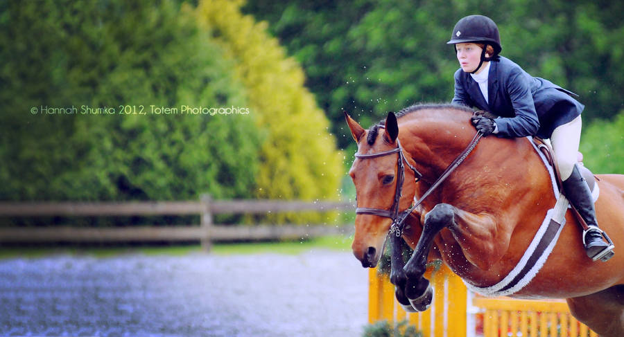 Transcendence by Equus-Photography