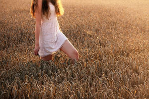 Walk in fields of Gold by strawberryswing93